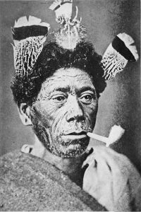 Older Maori man tattooed, feathers in hair